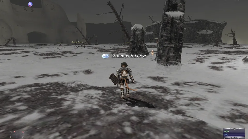 Gameplay screenshot of Final Fantasy XI.