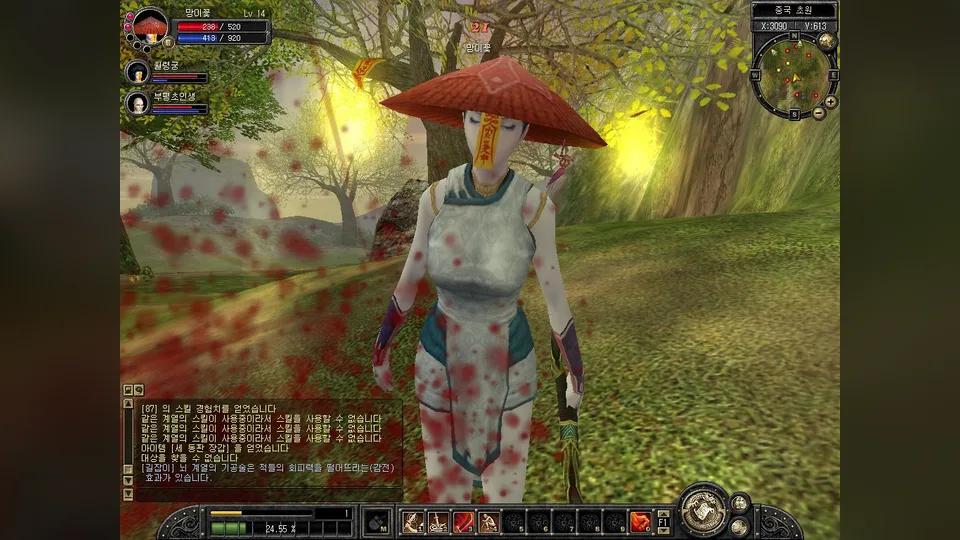 A Silkroad Online character in a landscape with the HUD visible.